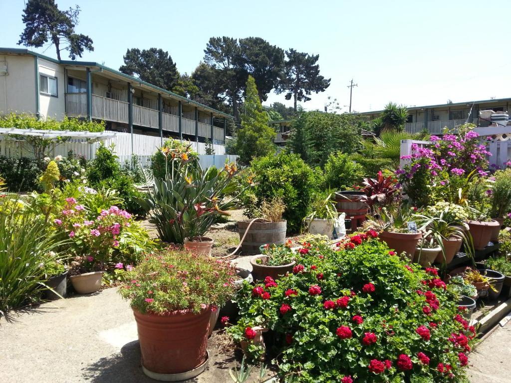 Travel Inn Vallejo Dış mekan fotoğraf